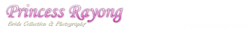 user.company_name
